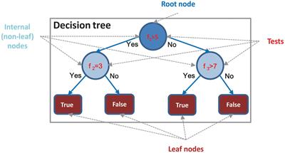 Identifying Discriminative Biological Function Features and Rules for Cancer-Related Long Non-coding RNAs